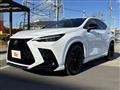 2023 Lexus NX