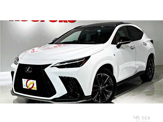 2023 Lexus NX