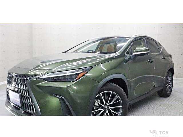 2023 Lexus NX