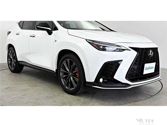 2023 Lexus NX