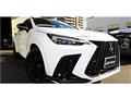 2023 Lexus NX