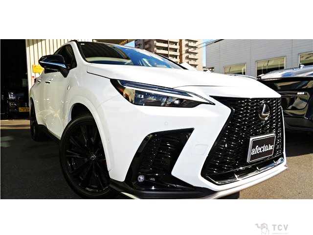 2023 Lexus NX