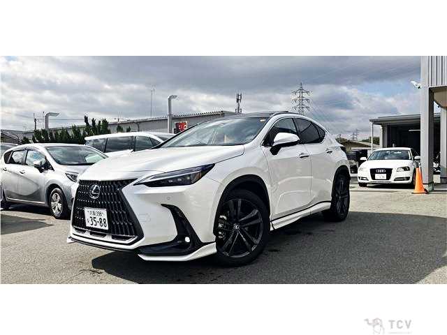 2023 Lexus NX