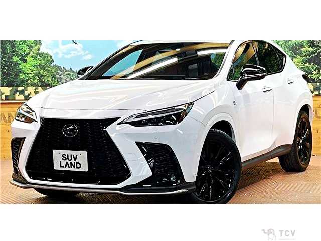 2023 Lexus NX