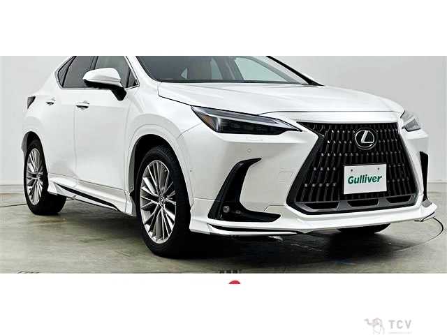 2023 Lexus NX