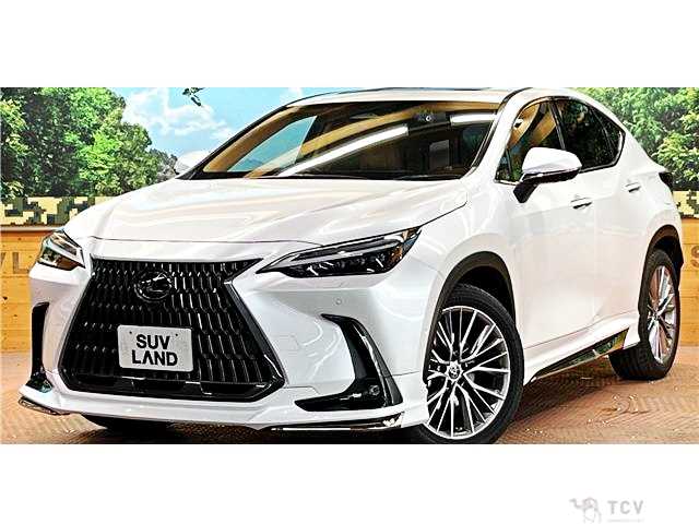 2023 Lexus NX