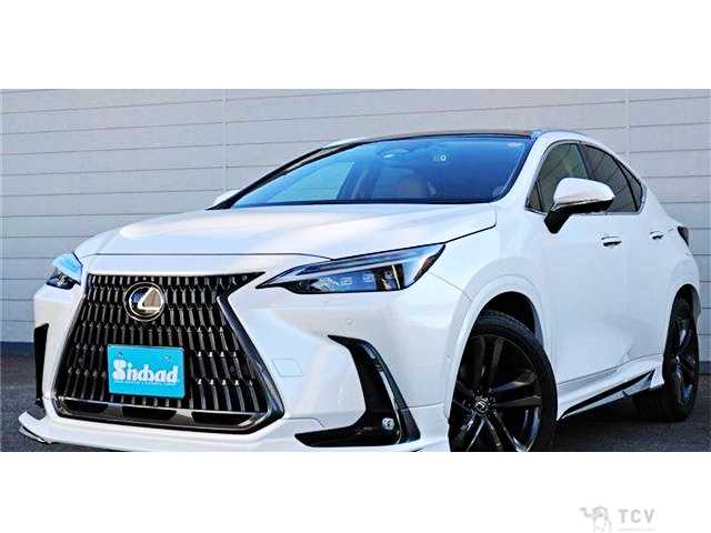 2023 Lexus NX