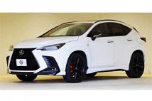 2023 Lexus NX