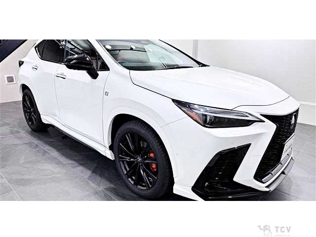 2023 Lexus NX
