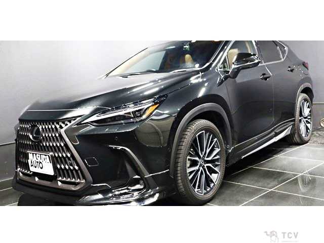 2023 Lexus NX