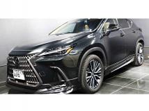 2023 Lexus NX