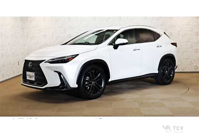 2023 Lexus NX