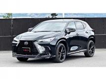 2023 Lexus NX