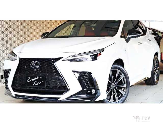 2023 Lexus NX