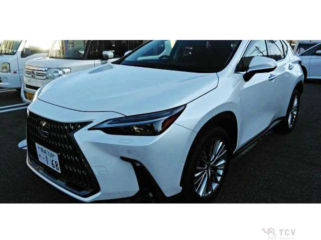 2023 Lexus NX