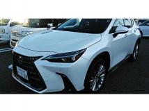 2023 Lexus NX