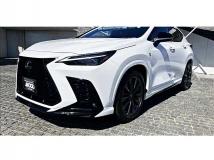 2023 Lexus NX