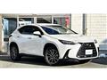 2022 Lexus NX