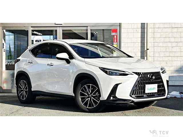 2022 Lexus NX