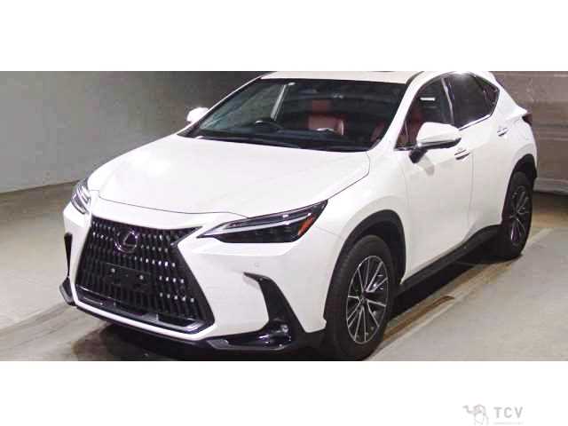 2022 Lexus NX