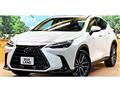 2022 Lexus NX