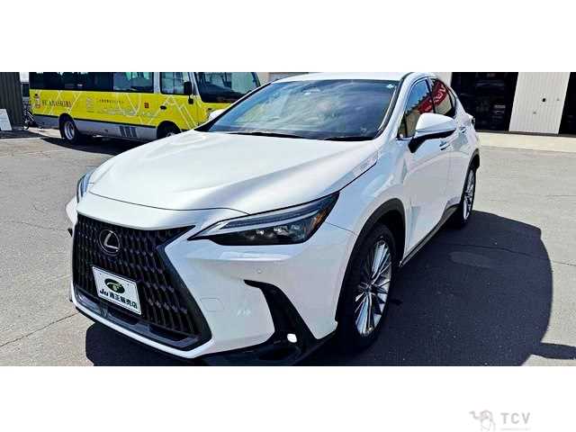 2022 Lexus NX