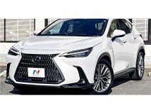 2022 Lexus NX