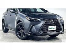 2022 Lexus NX
