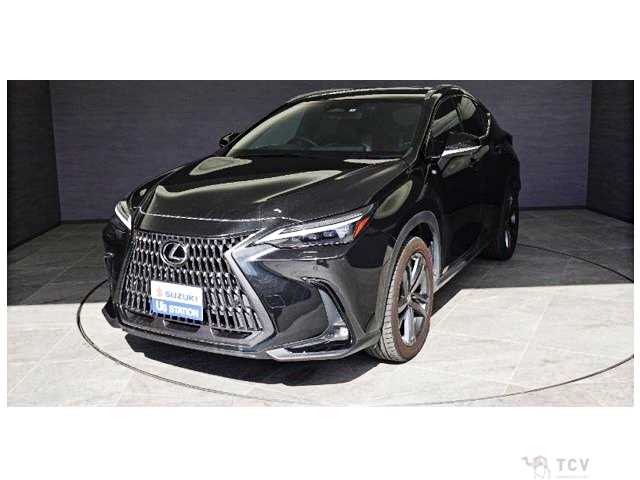 2022 Lexus NX
