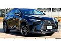2022 Lexus NX