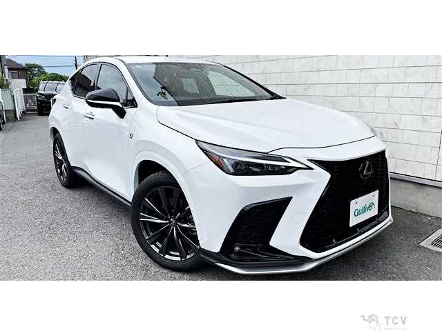 2022 Lexus NX