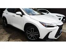 2022 Lexus NX