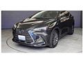 2022 Lexus NX