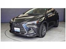 2022 Lexus NX