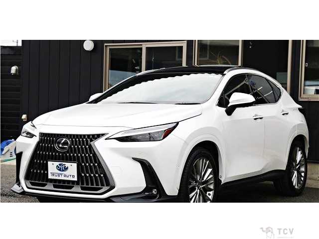 2022 Lexus NX