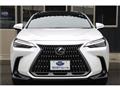 2022 Lexus NX