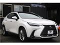 2022 Lexus NX