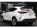 2022 Lexus NX