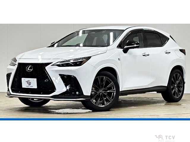 2022 Lexus NX