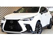 2022 Lexus NX