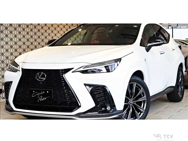 2022 Lexus NX