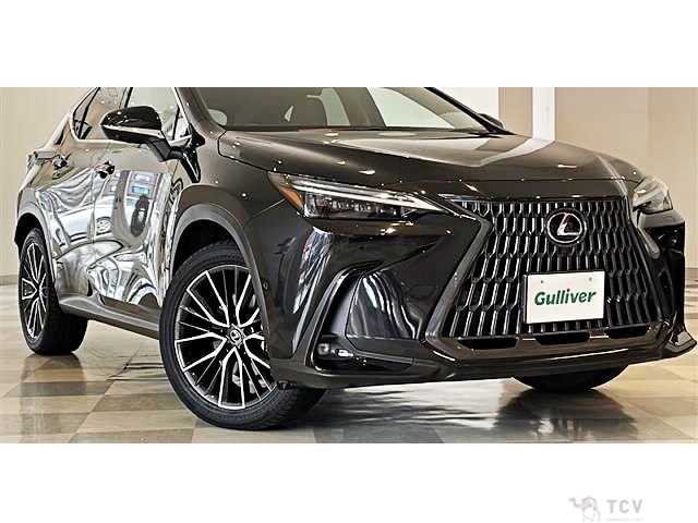 2022 Lexus NX