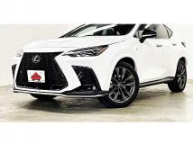 2022 Lexus NX