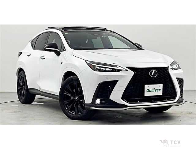 2022 Lexus NX