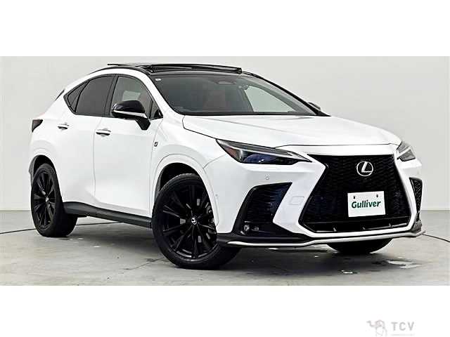 2022 Lexus NX