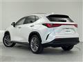2022 Lexus NX