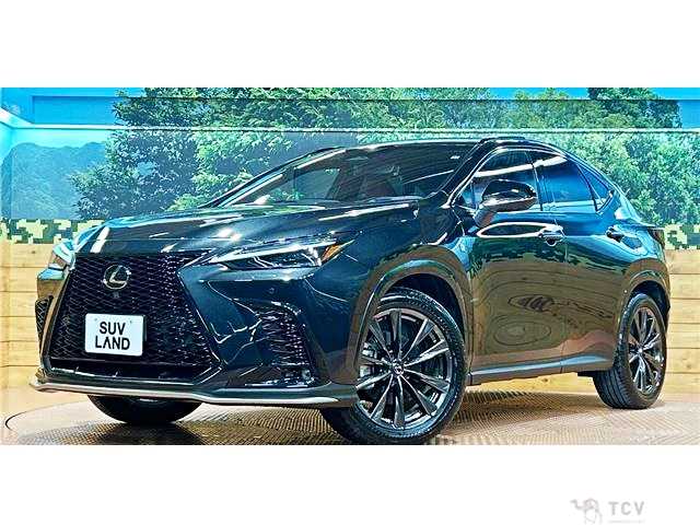 2022 Lexus NX