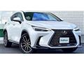2022 Lexus NX