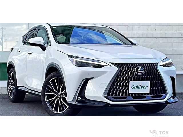 2022 Lexus NX