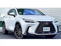 2022 Lexus NX